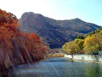 新澳天天开奖资料大全旅游团，深海恐惧症